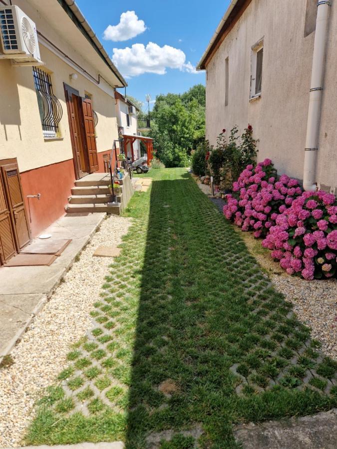 Gecse-Villa Шарошпатак Экстерьер фото